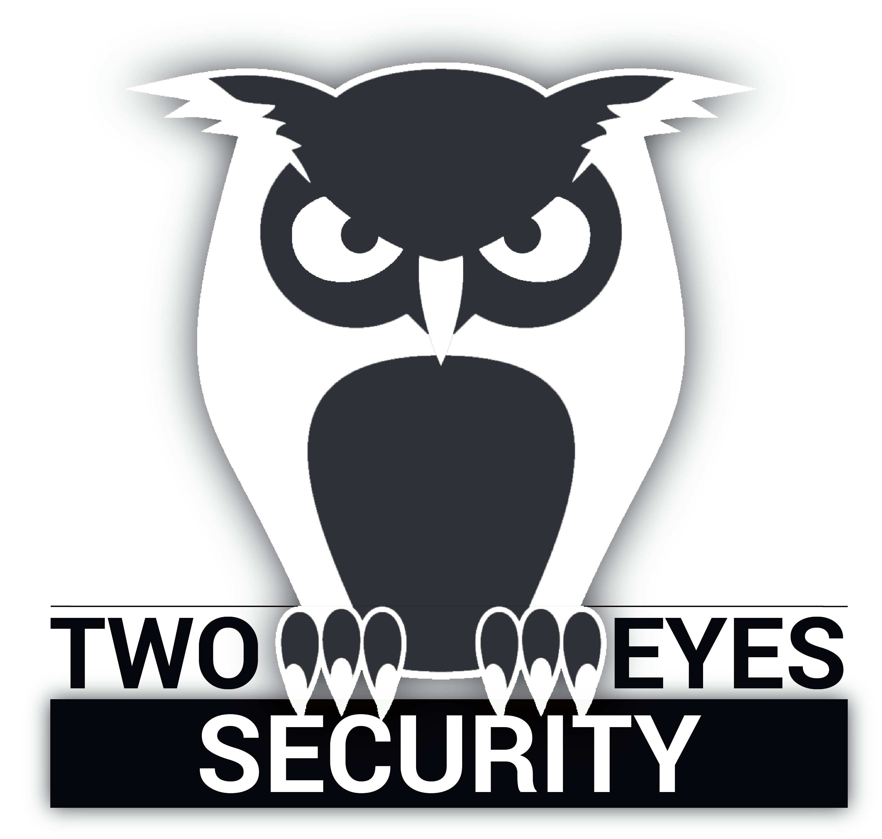 TWO EYES SECURITY GmbH-logo